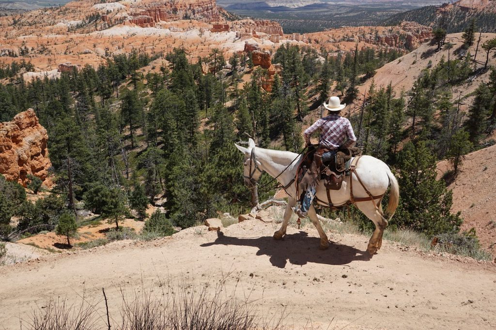 voyages immersifs Cowboy surplombant la vallée