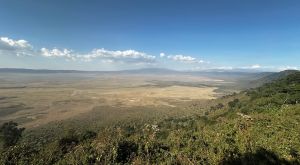 Tanzani Grandes Migations - Cratère du Ngorongoro, un écosystème unique