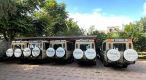 Tanzani Grandes Migations - sur la route du retour avec Nature Responsible Safari